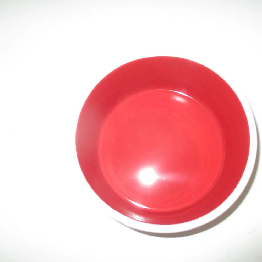RAE DUN *SANTA PAWS* Dog Dish / Cat Dish 6